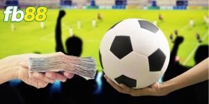 C&aacute; Cược B&oacute;ng Đ&aacute; FB88 - Chuy&ecirc;n Mục Giải Tr&iacute; Hấp Dẫn