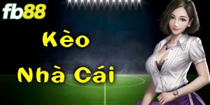 K&egrave;o Nh&agrave; C&aacute;i - Nắm Trọn Mọi Cơ Hội Kiếm Lời Hấp Dẫn 2025